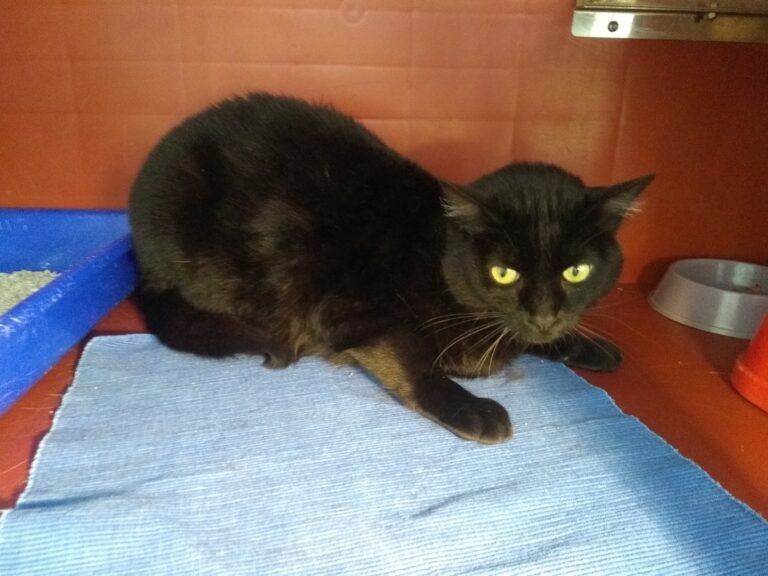 multimedia-foto67235-420-1