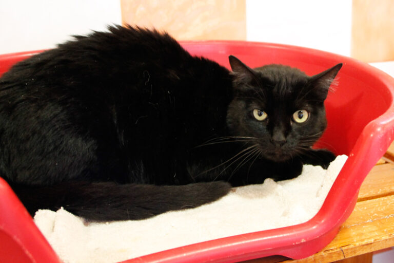 multimedia-foto67236-421-1