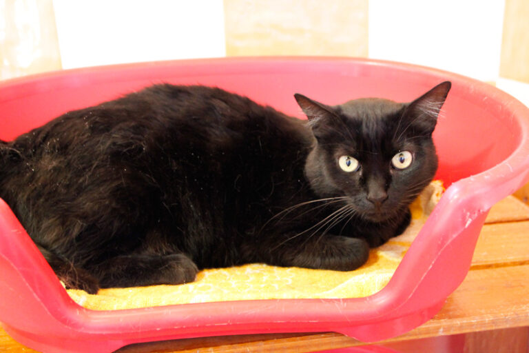 multimedia-foto67237-421-1