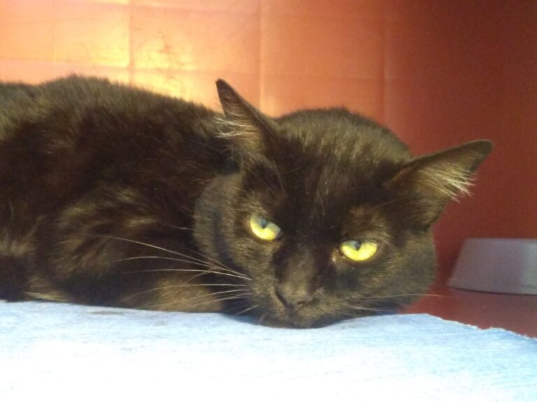 multimedia-foto67238-421-1