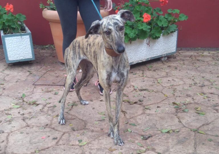 multimedia-foto67240-142-1