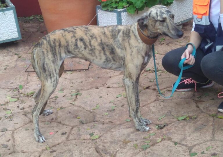 multimedia-foto67241-142-1