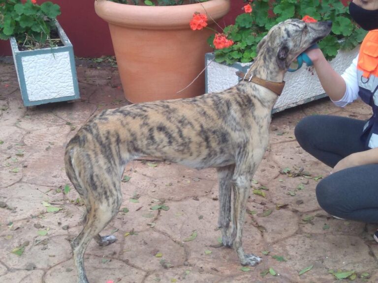 multimedia-foto67242-143-1