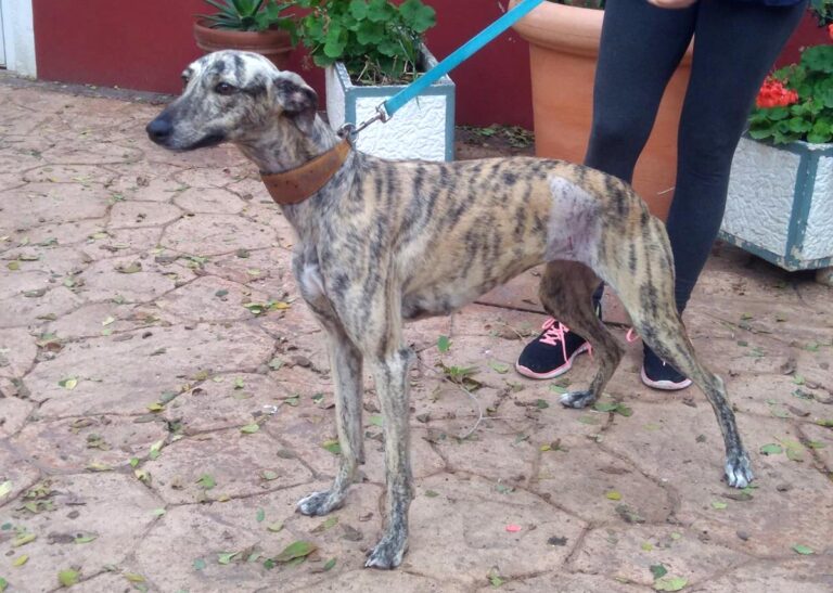 multimedia-foto67243-144-1