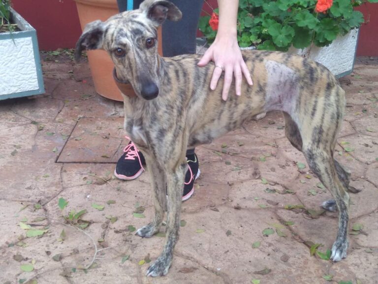 multimedia-foto67245-145-1