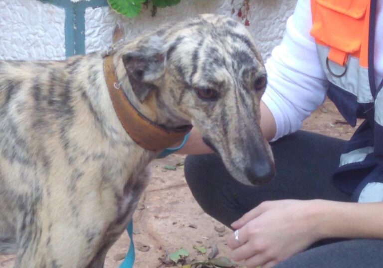 multimedia-foto67246-145-1