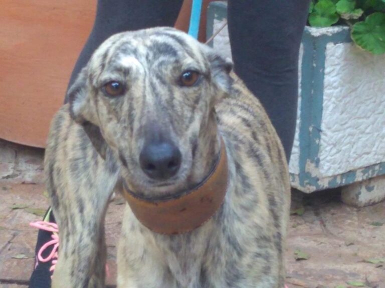 multimedia-foto67247-146-1