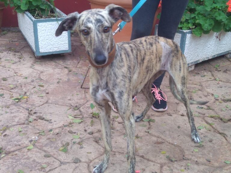 multimedia-foto67248-160-1