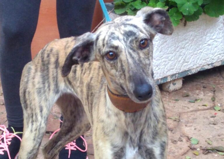 multimedia-foto67249-161-1