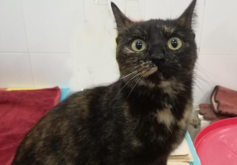 multimedia-foto67252-402-1