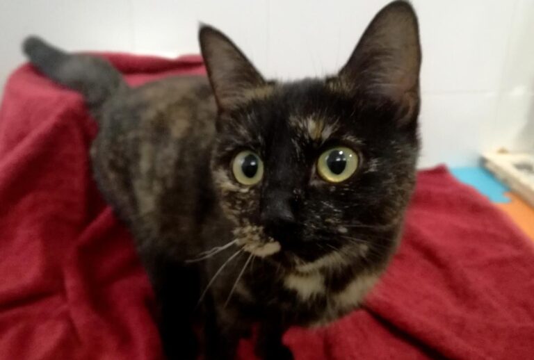 multimedia-foto67253-403-1