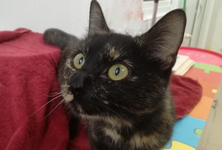 multimedia-foto67255-404-1