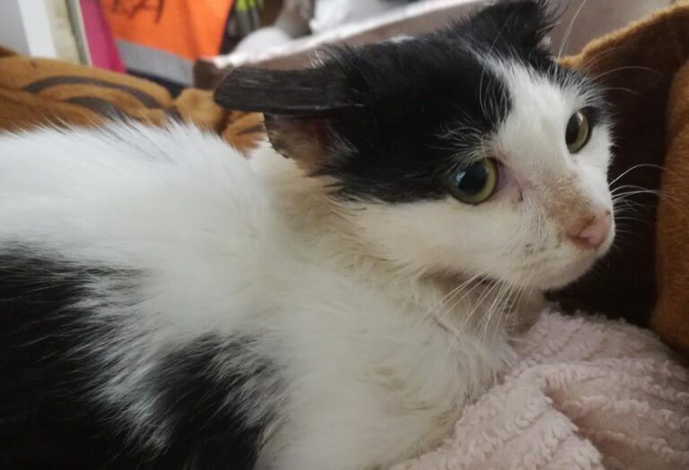 multimedia-foto67256-448-1