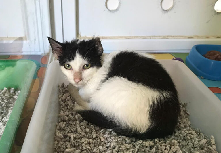 multimedia-foto67257-449-1