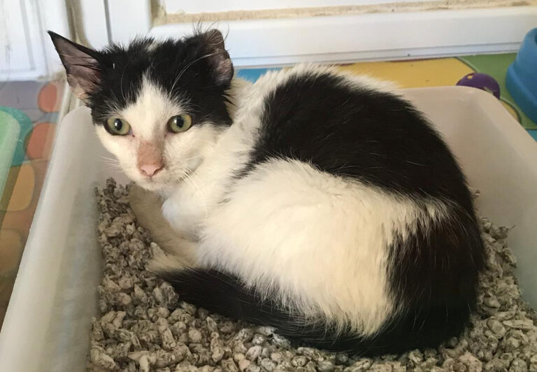 multimedia-foto67258-449-1