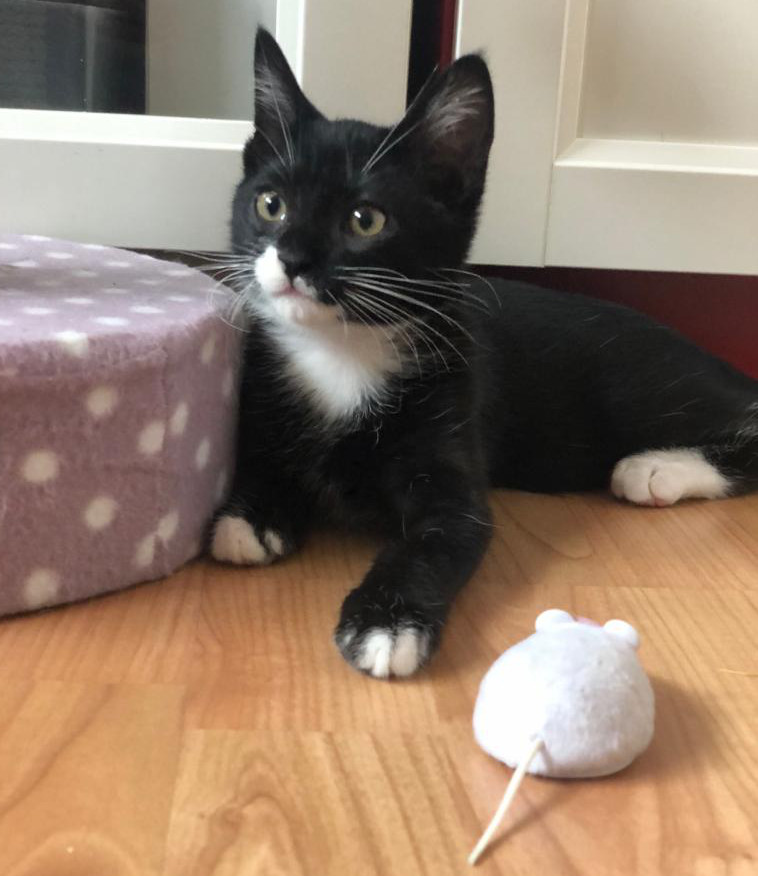 multimedia-foto67262-508-1