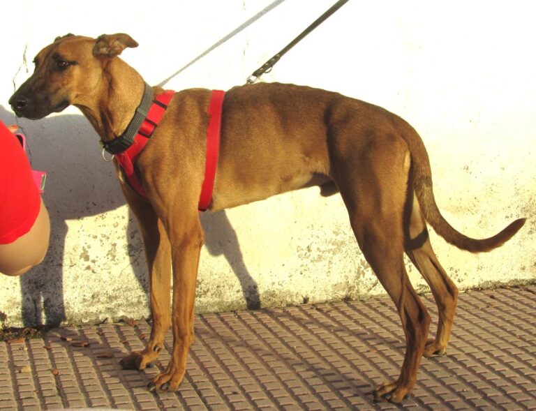 multimedia-foto67275-206-1