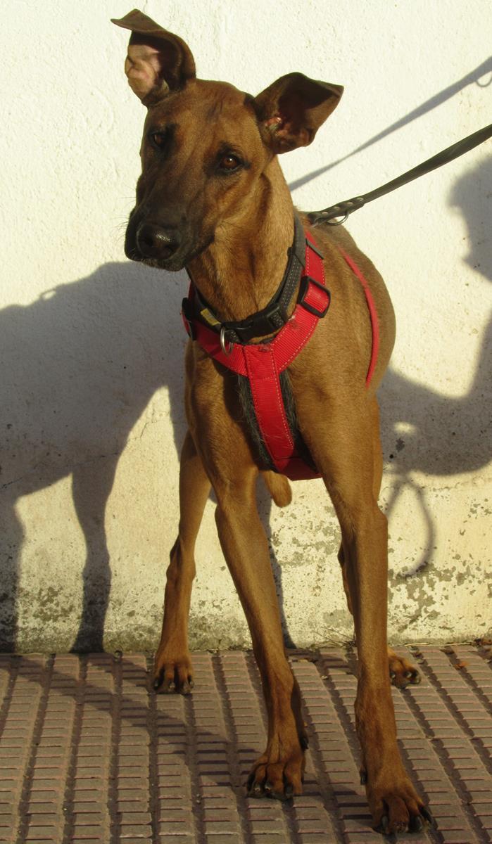 multimedia-foto67276-207-1