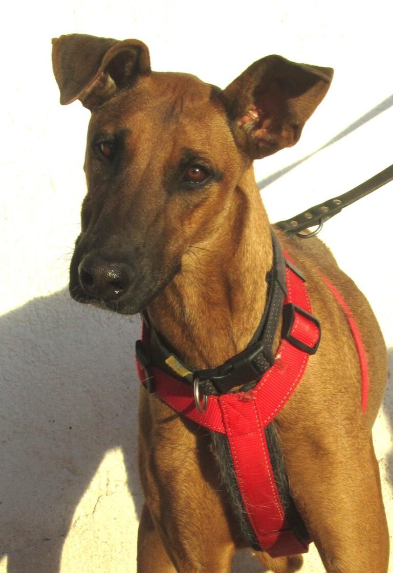 multimedia-foto67277-207-1