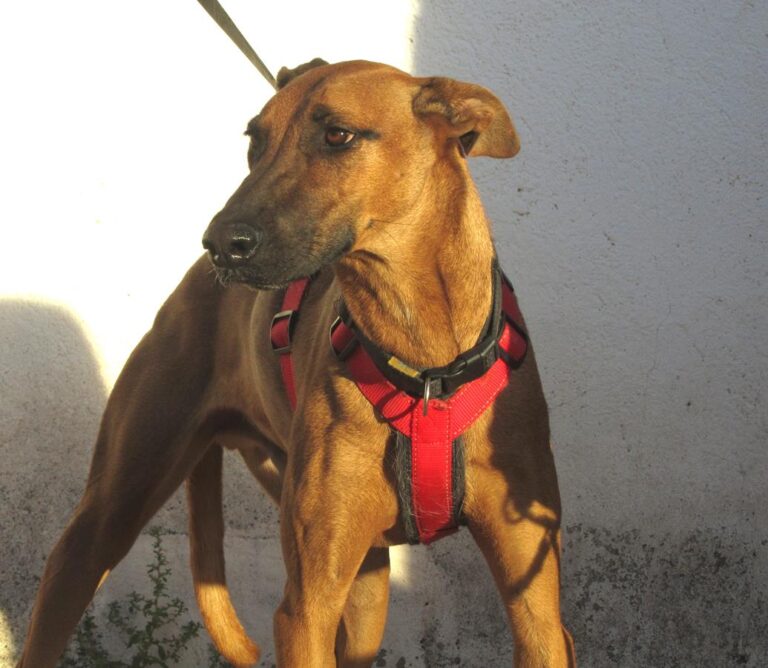 multimedia-foto67278-208-1