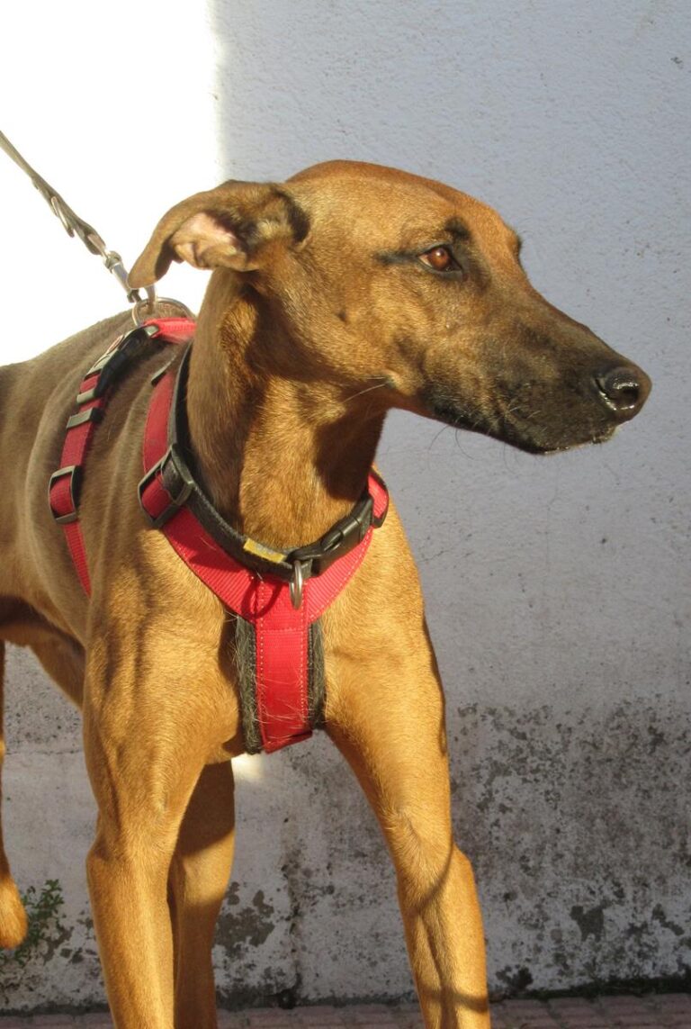 multimedia-foto67279-208-1