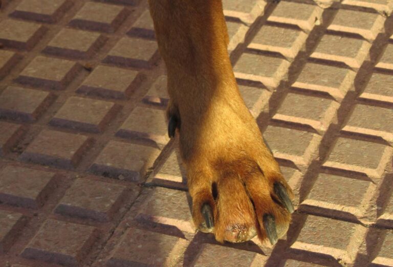 multimedia-foto67280-209-1