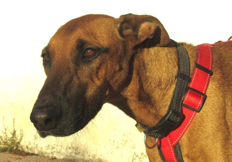 multimedia-foto67281-210-1