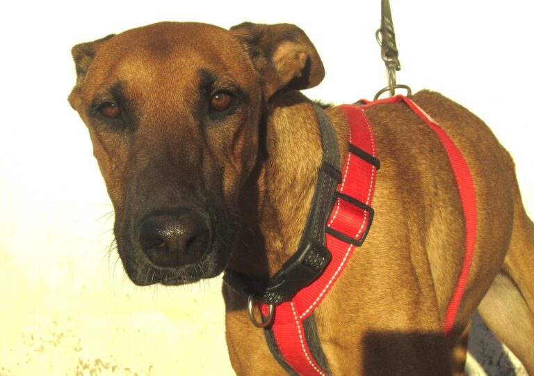 multimedia-foto67282-210-1