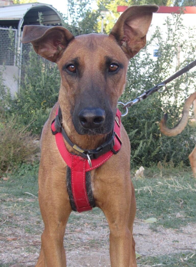 multimedia-foto67283-211-1