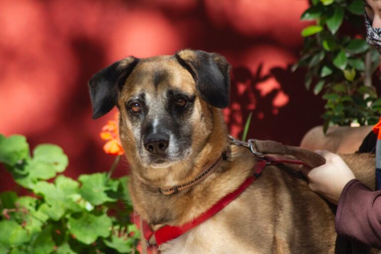 multimedia-foto67284-468-1