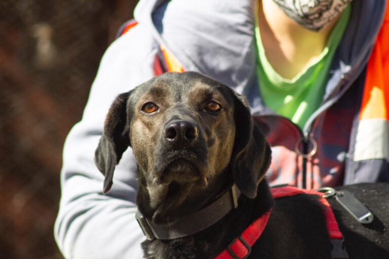 multimedia-foto67285-513-1