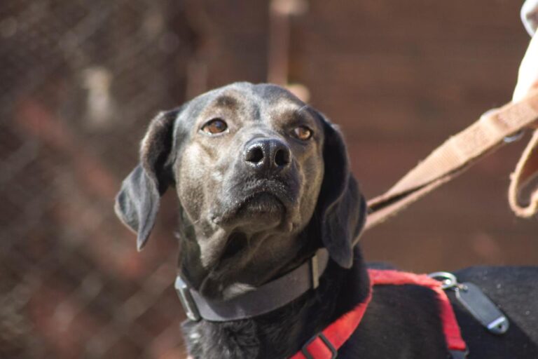 multimedia-foto67286-514-1