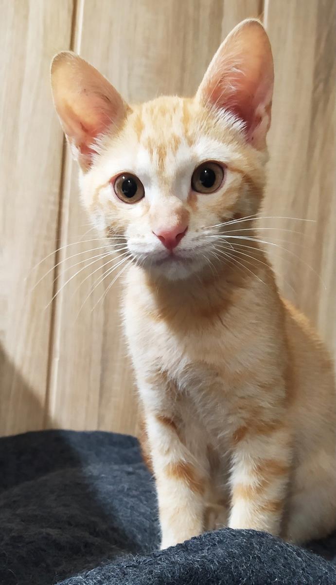 multimedia-foto67362-663-1