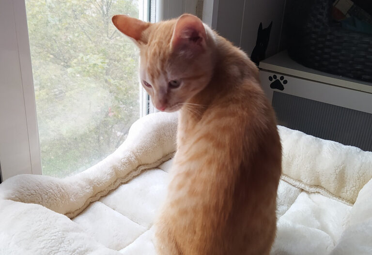 multimedia-foto67365-664-1