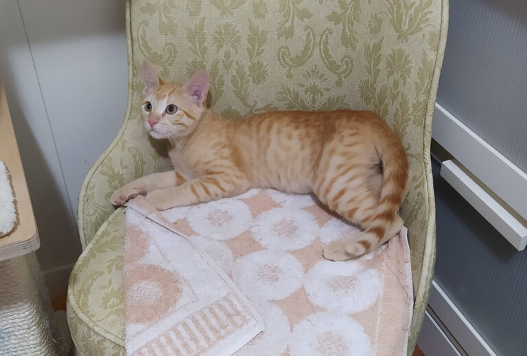 multimedia-foto67366-665-1