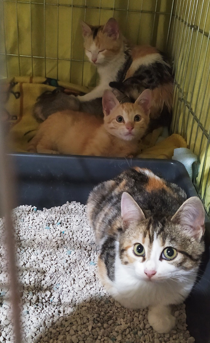 multimedia-foto67428-894-1