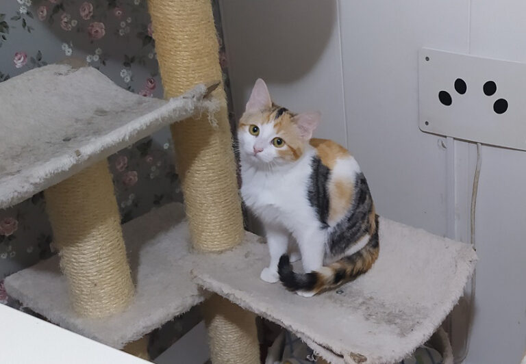 multimedia-foto67435-929-1