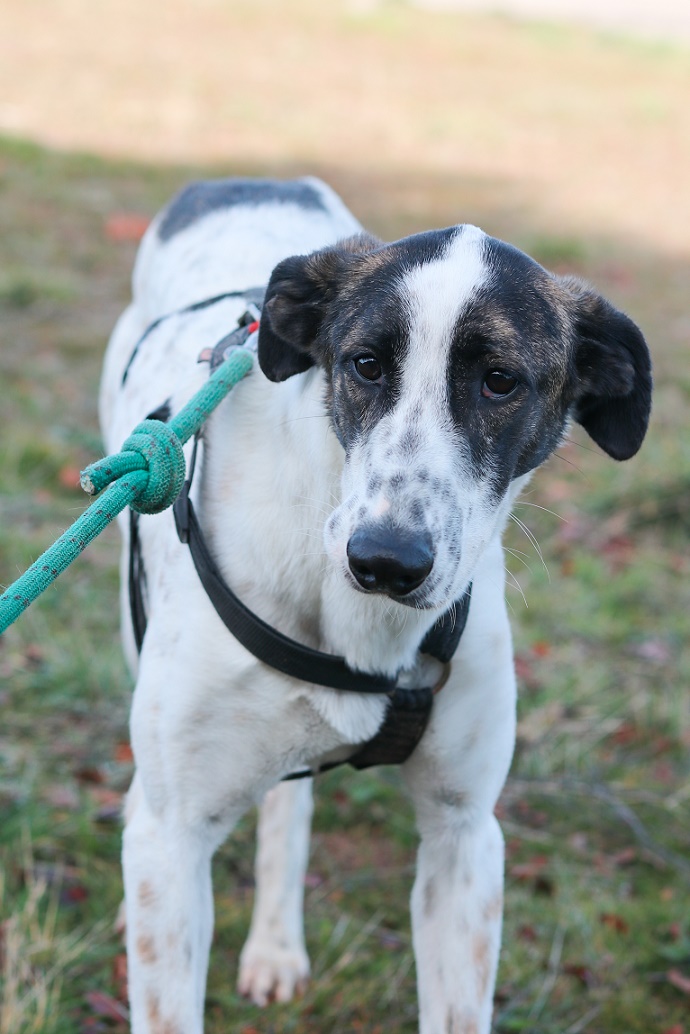 multimedia-foto67454-597-1