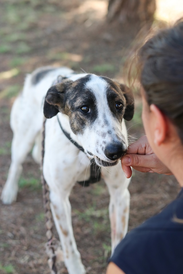 multimedia-foto67455-597-1