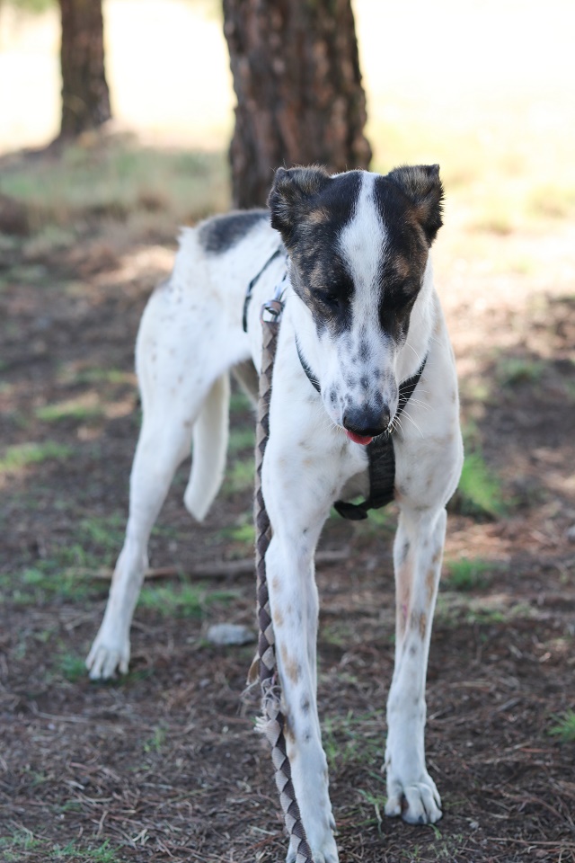 multimedia-foto67456-598-1