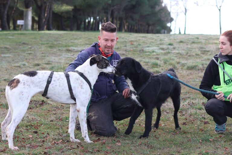 multimedia-foto67457-598-1