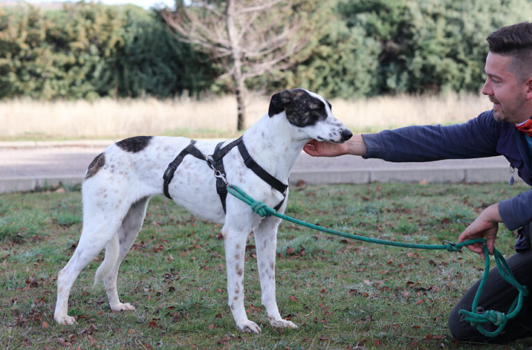 multimedia-foto67458-599-1