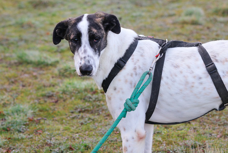 multimedia-foto67460-600-1