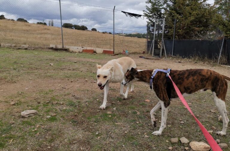 multimedia-foto67473-511-1