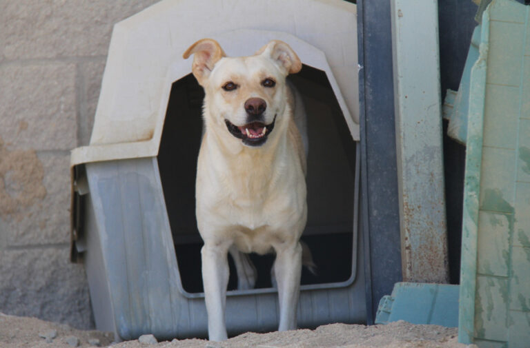 multimedia-foto67474-511-1