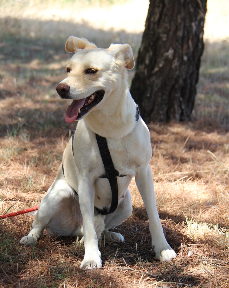 multimedia-foto67475-512-1