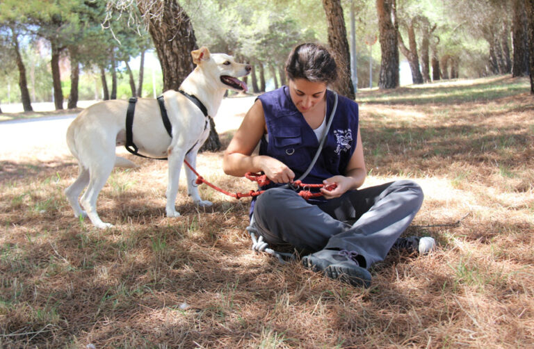 multimedia-foto67476-512-1