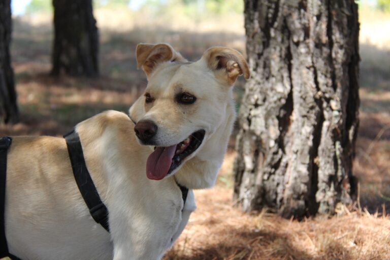 multimedia-foto67479-514-1