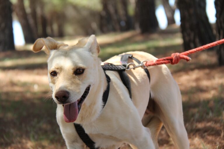 multimedia-foto67480-514-1