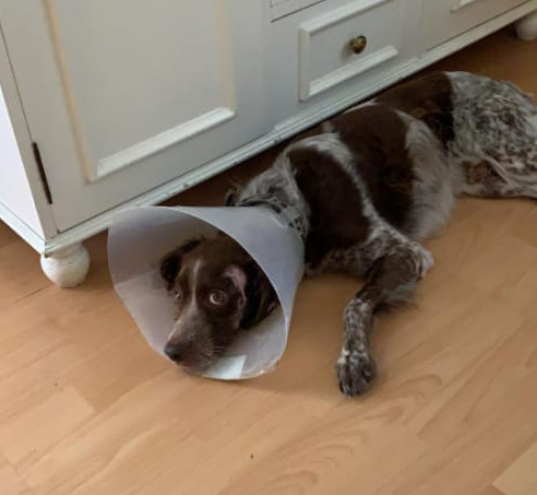 multimedia-foto67483-651-1